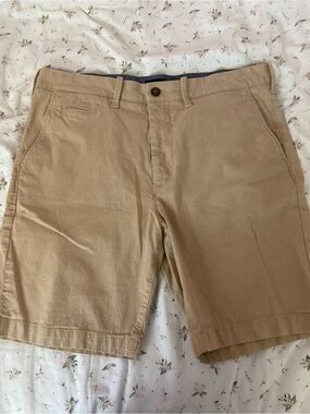 Express Men's Tan Hybrid Shorts
